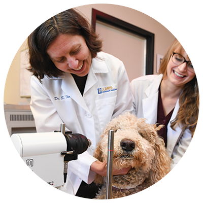 Two women veterinarians with a ginger dog and ophthalmology device