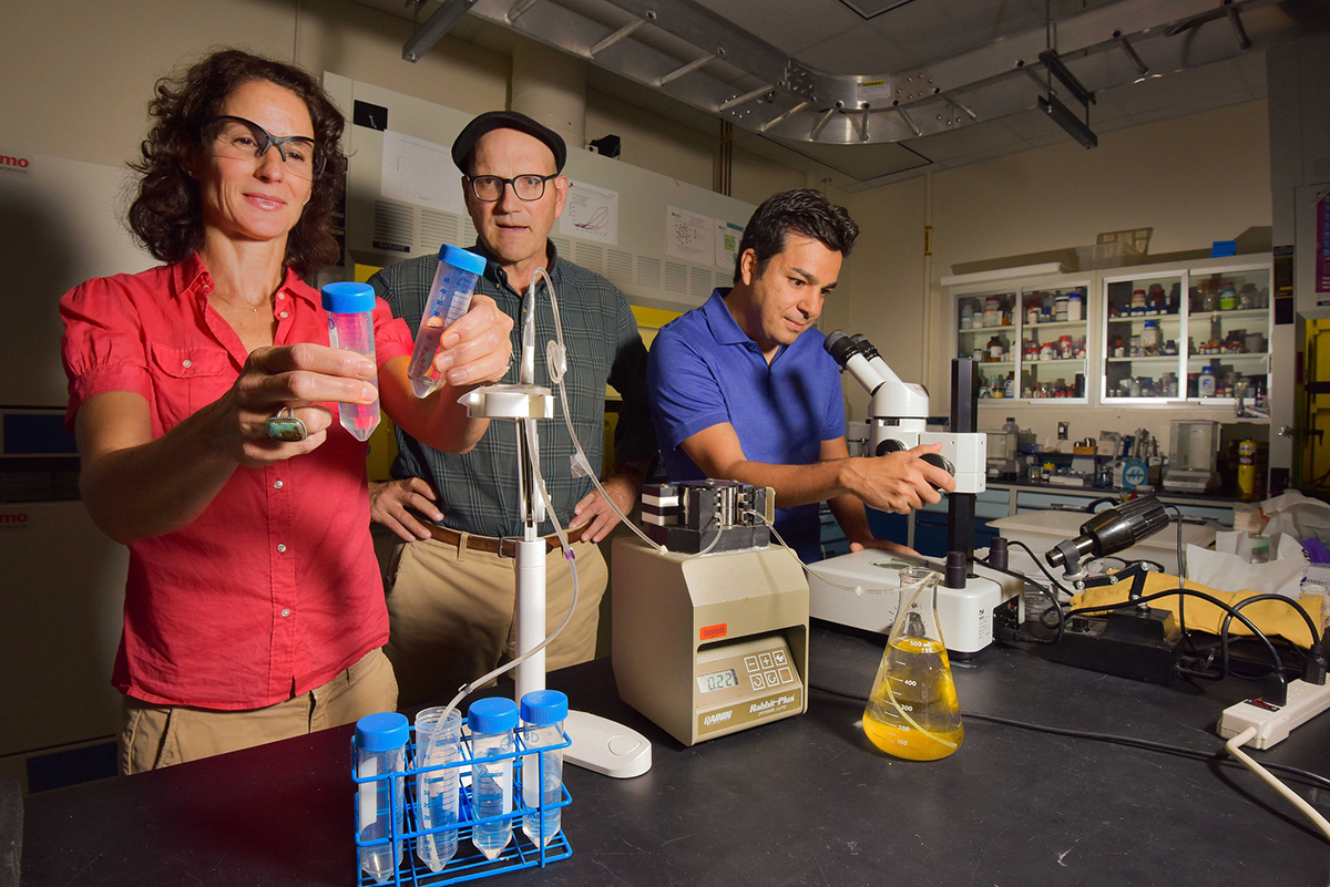 Three Sandia National Labs scientists in their lab