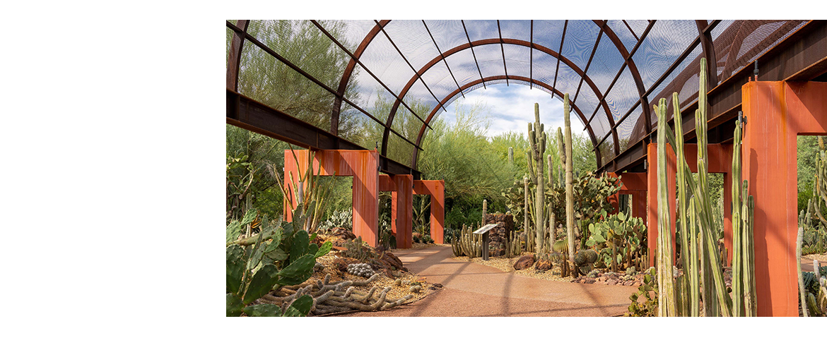 Networking Desert Botanical Garden