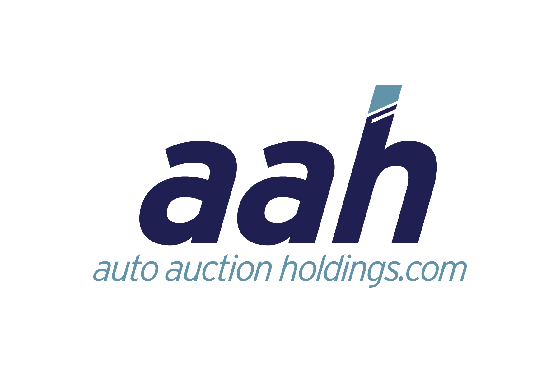 Auto Auction Holdings