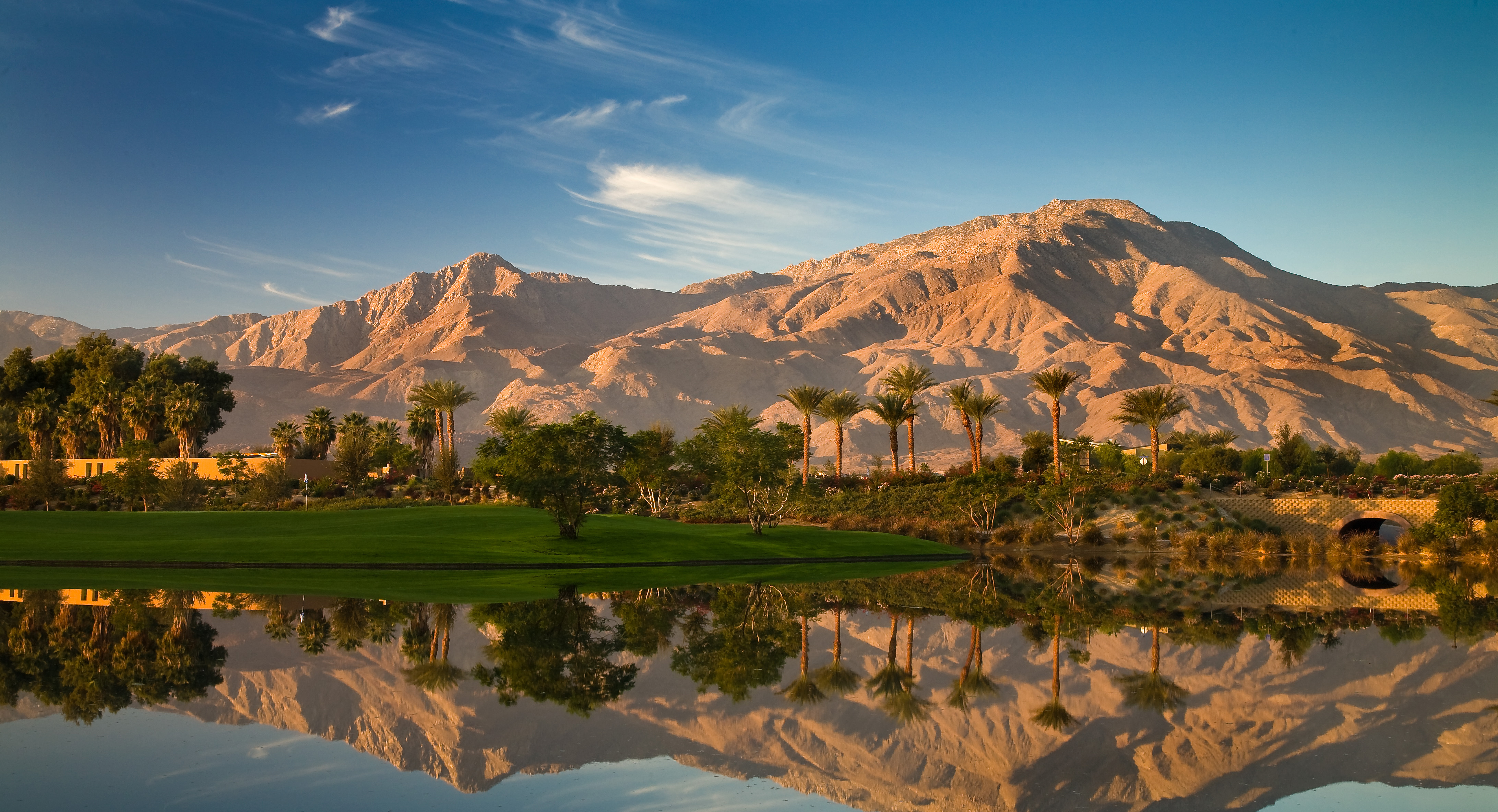 Greater Palm Springs Landscape