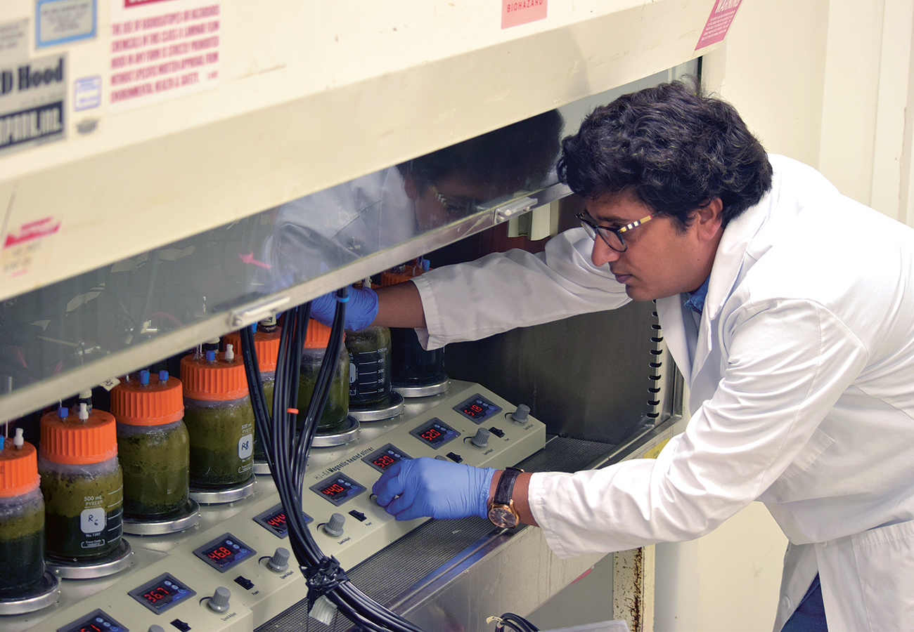 Veterinarian working in his laboratory
